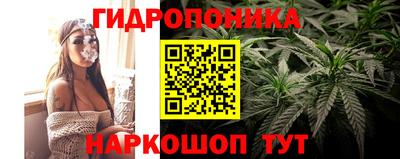 ГАЛЛЮЦИНОГЕННЫЕ ГРИБЫ Будённовск